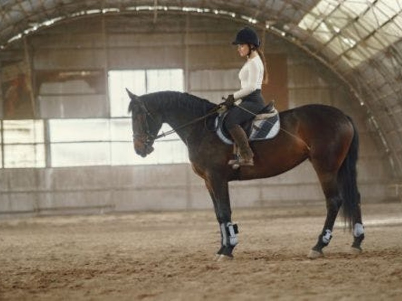 nm Pony- en paardrijden