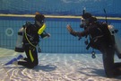 Initiatie sportduiken