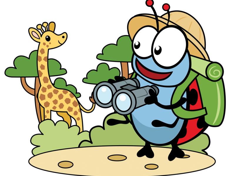 Kriki wild life Kruisem (6-10/07/2026)