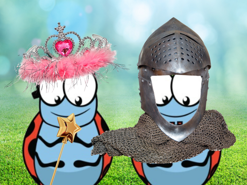 Ridders en prinsessen Sint-Lodewijk (13-17/04/2026)