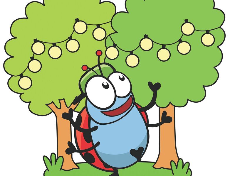 Feest in het bos Zwalm (2-6/11/2026)