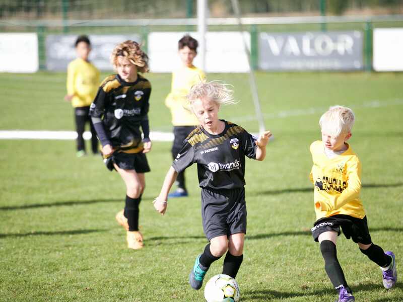 Zomer outdoor voetbalstage Hansbeke 2026