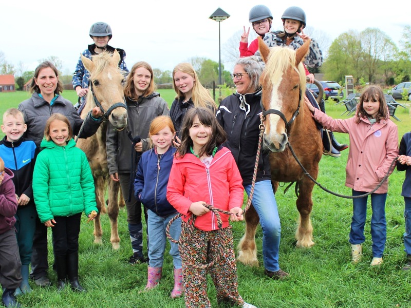 Groeikamp op de paardenboerderij