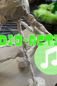 Radio-actief S-G-R Zomer 3 - 2026