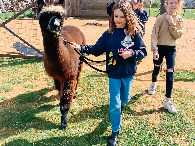 Beestige natuur 3-daagse