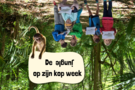 De jungle op z'n kop week 