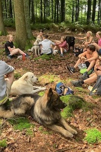 Hondenkamp - The Wanyi way