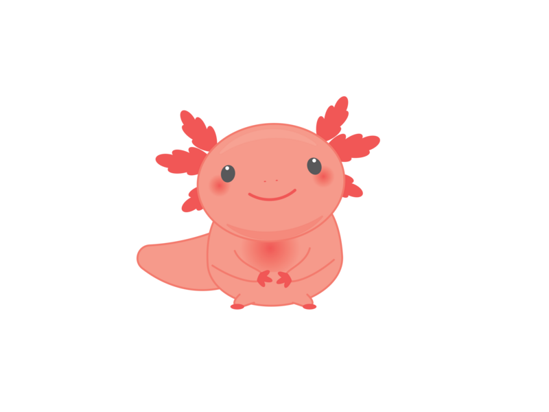 Speelpleinwerking Snip'O Centrum (K2-L6)