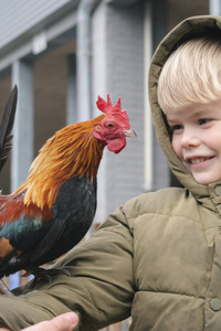 Boerderij in de Stad