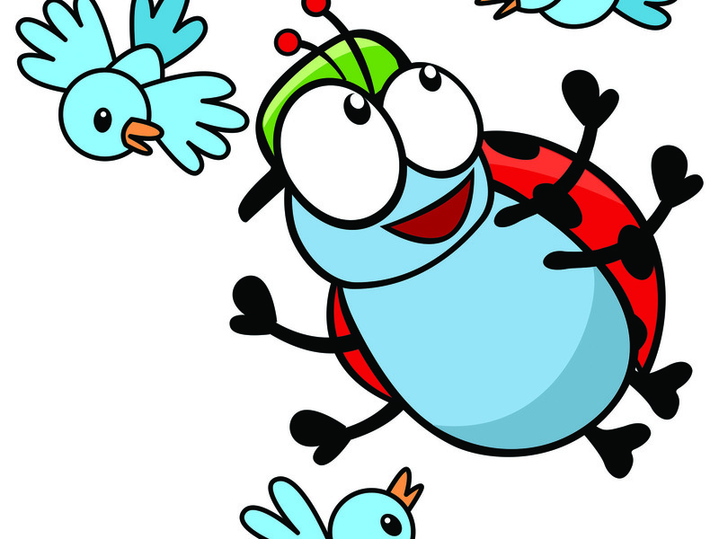 Kriki fladdert rond Ename (24-28/08/2026)