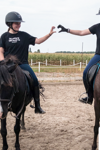 Ponyvakantie