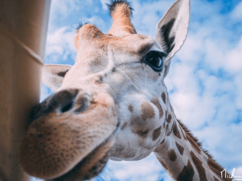 Activak jeugdvakanties – Pakawi kamp (9-14 jaar)