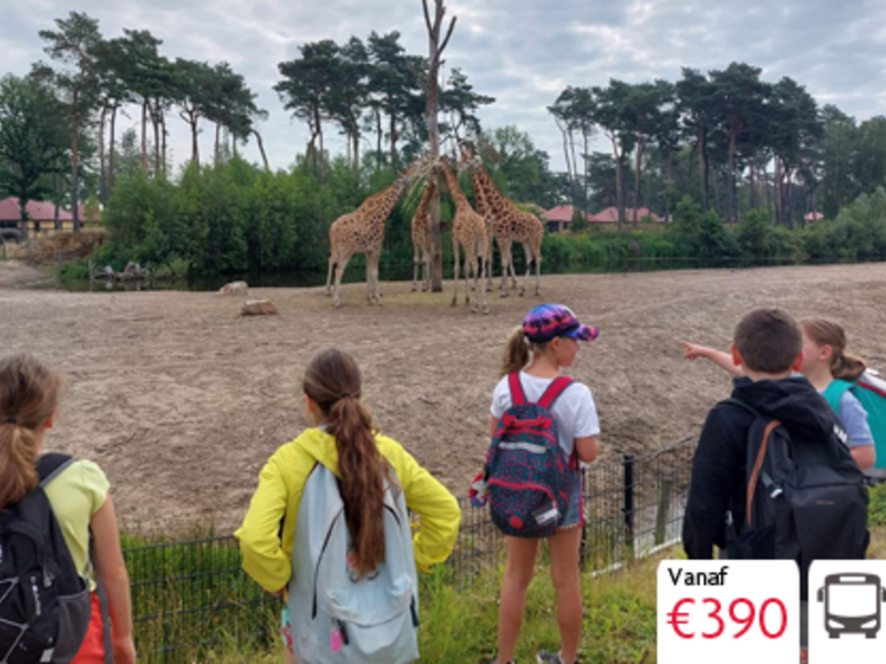 Safari-Rangervakantie @ Beekse Bergen
