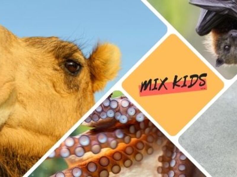 Dieren met Superkrachten