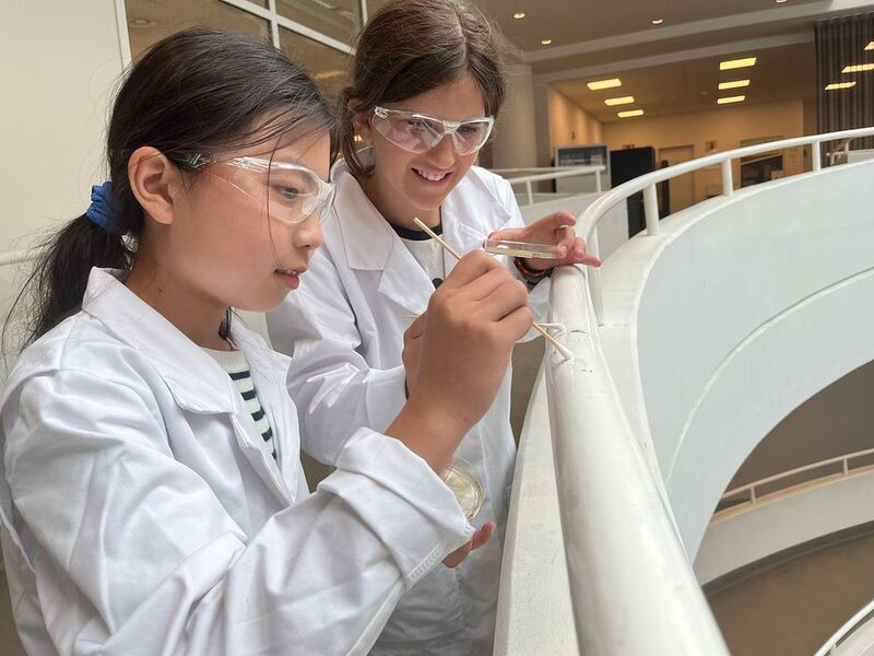 Experimenteerfabriek