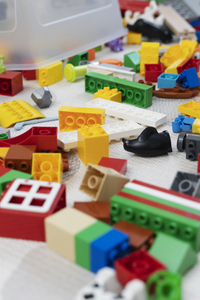 Lego Move - dagkamp