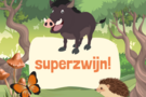 Mini Jungle Kamp: superzwijn!