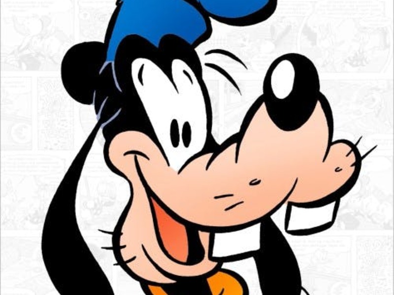 Speelpleinwerking Goofy's (paars) vm