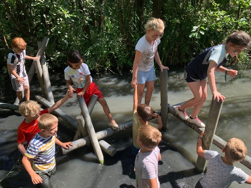 Survival of the fittest - Externaat