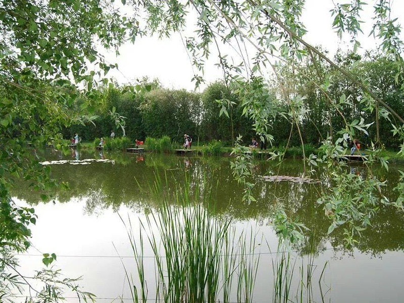 SPEELPLEIN WEEK 6 - Vissen (10-15 jaar)