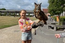 Dierenmanieren
