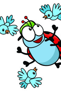 Kriki fladdert rond Kaaihoeve (24-28/08/2026)