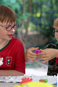 Het Grote Beestenbos