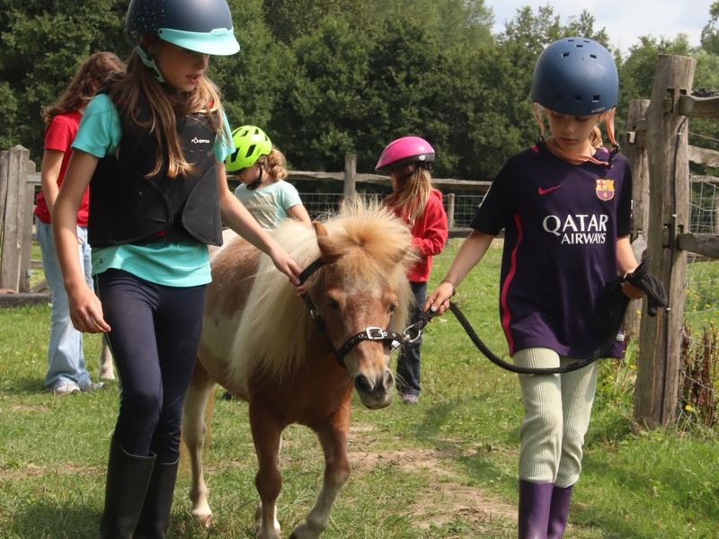 Pony Adventures (met overnachting)