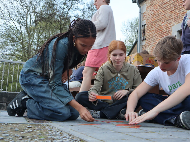 Opleiding Animator (krokus)