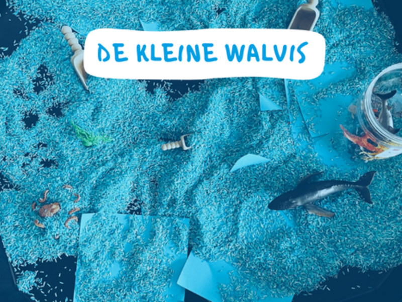 De Kleine Walvis
