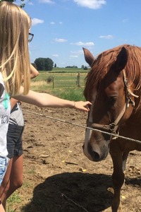 Ponyscouts (met overnachting)