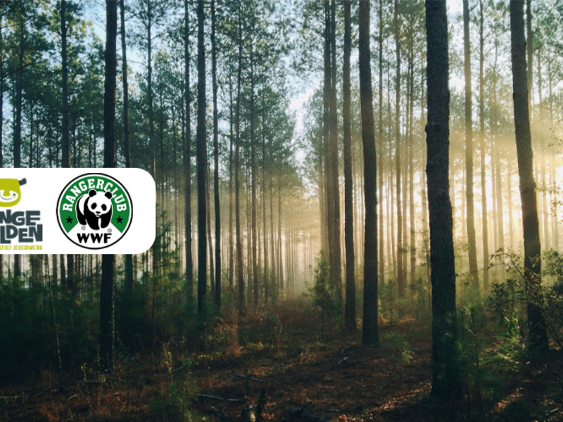 Natuurexpeditie (WWF-Rangerclubkamp)