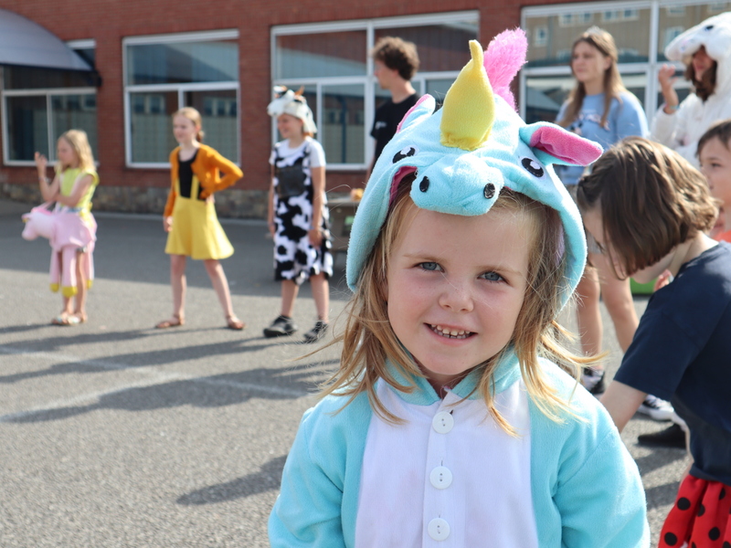 Hokus Sprookus Krokus