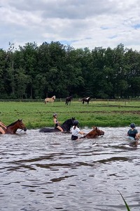 Paardrijden in het groen
