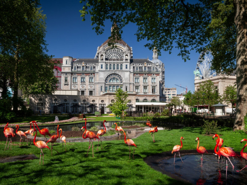 Daguitstap Zoo van Antwerpen voor kindjes met extra zorg vrijdag 28/08/26