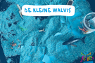 De kleine walvis 🐳