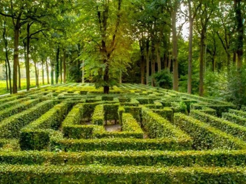 VOLT: Doolhof van Loppem