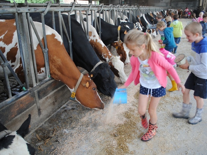 Boerderijkamp - Externaat