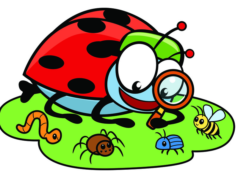 Kriebelbeestjes Kaaihoeve (6-10/07/2026)