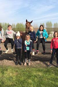 Paardrijden in de Leiestreek