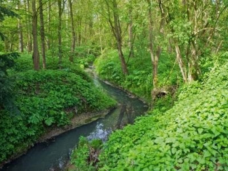 Tussen Kanaal en Tangebeek
