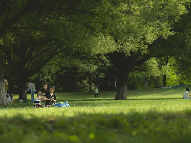 VOLT: Picknick in het park