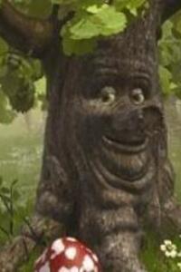 Sprookjesbos Zomer 2 - 2026