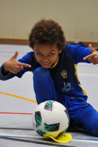 Indoor krokusstage Merelbeke