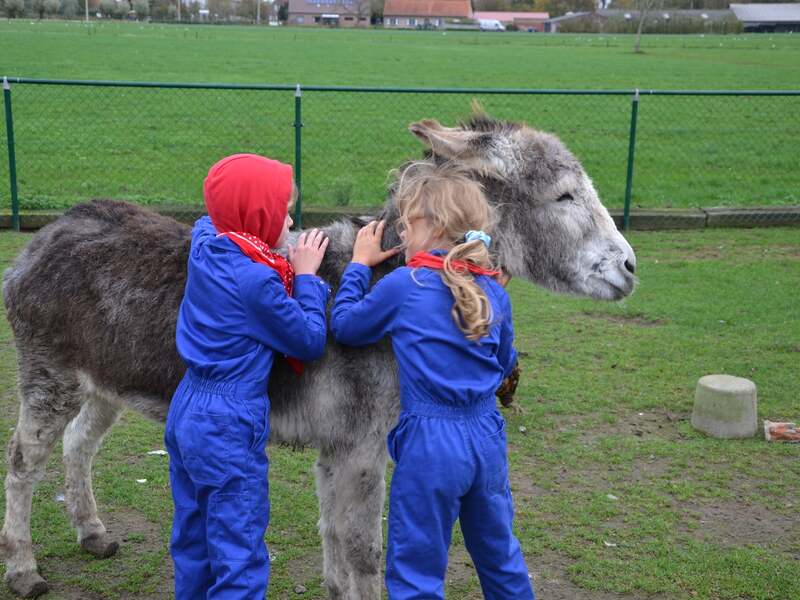 Boerderijkamp voor kinderen met ASS