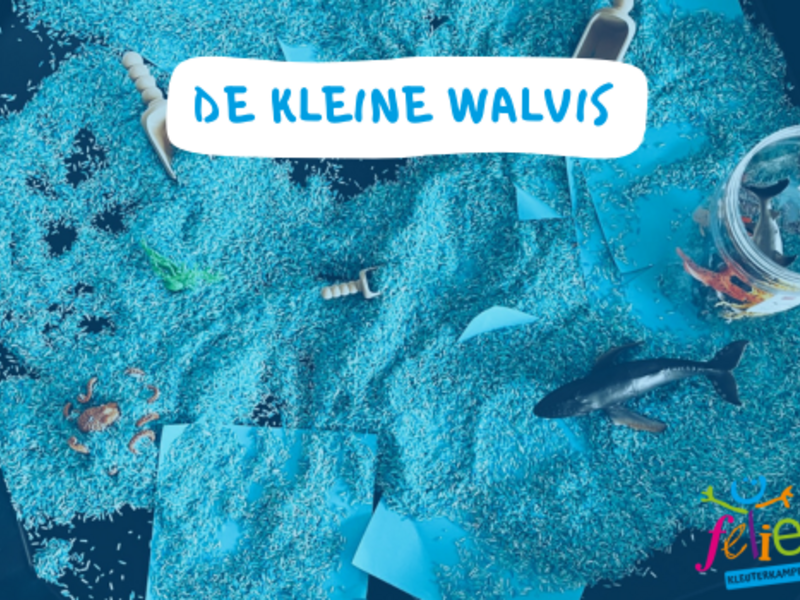 De kleine walvis 🐳