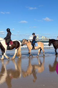 paardrijden NL 30.06 - 05.07