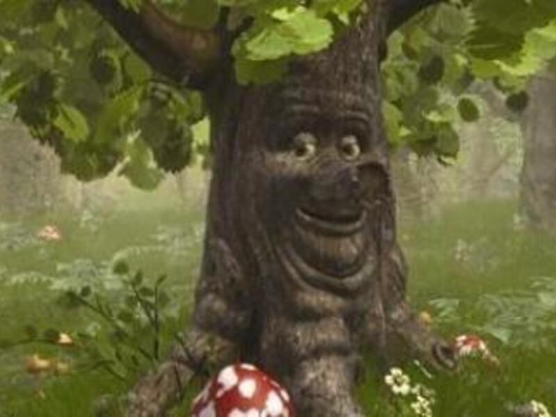 Sprookjesbos Zomer 6 - 2026