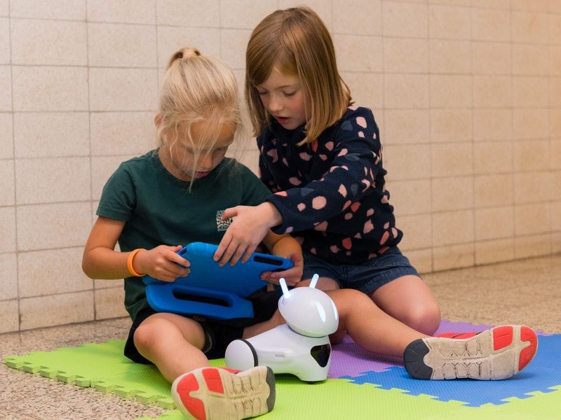 (VK017) Robot-Tijdreizigerskamp