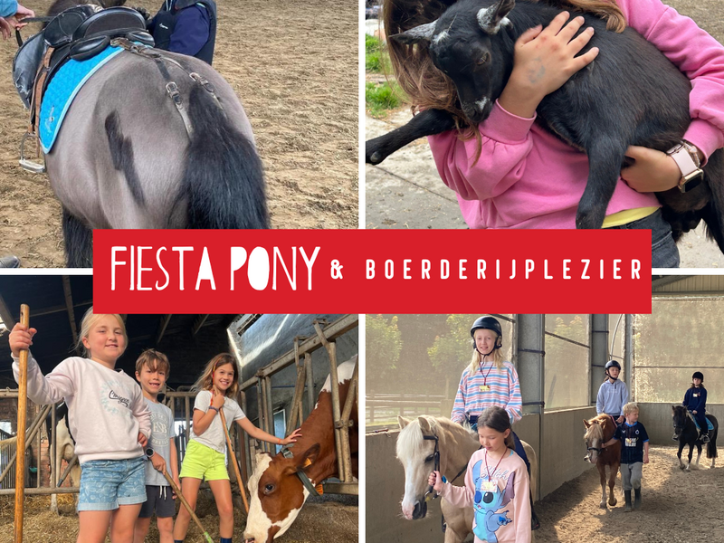 Fiesta Pony en boerderijplezier